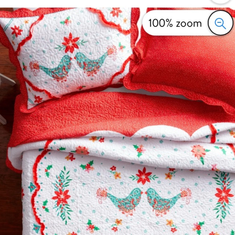 Pioneer woman 3 piece quilt set